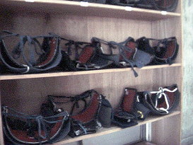 ���̐����I