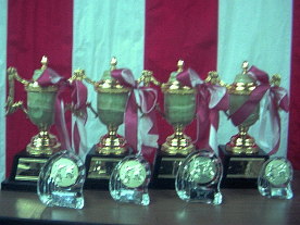 ���{�����`�@�D���t�@�񋟁@���̉�