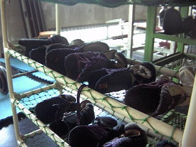 ����̐����I